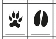 African Animal Footprint Activity