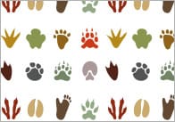 Zoo Animal Footprint Repeating Pattern