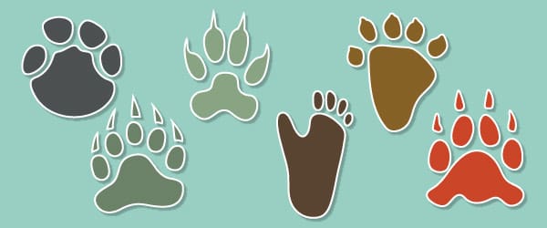 Zoo Animal Footprint Cut-Outs