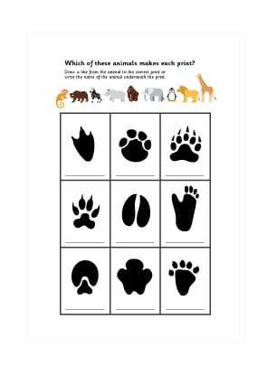 Zoo Animal Footprints Activity