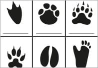 Zoo Animal Footprint Activity