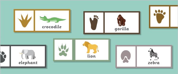 Zoo Animal Footprint Labels