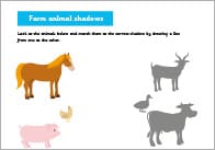 Farm Shadow Matching Activity