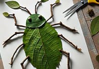 Free Minibeast Leaf Art Activity