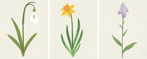 Fun Spring Activities For Children - Printable Early Years Resources ...